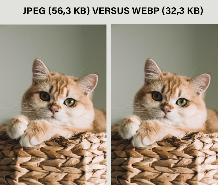 Gecomprimeerd JPEG-bestand versus een WebP-afbeelding