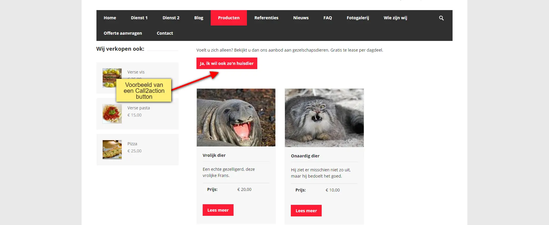 Call tot action button Call tot action button