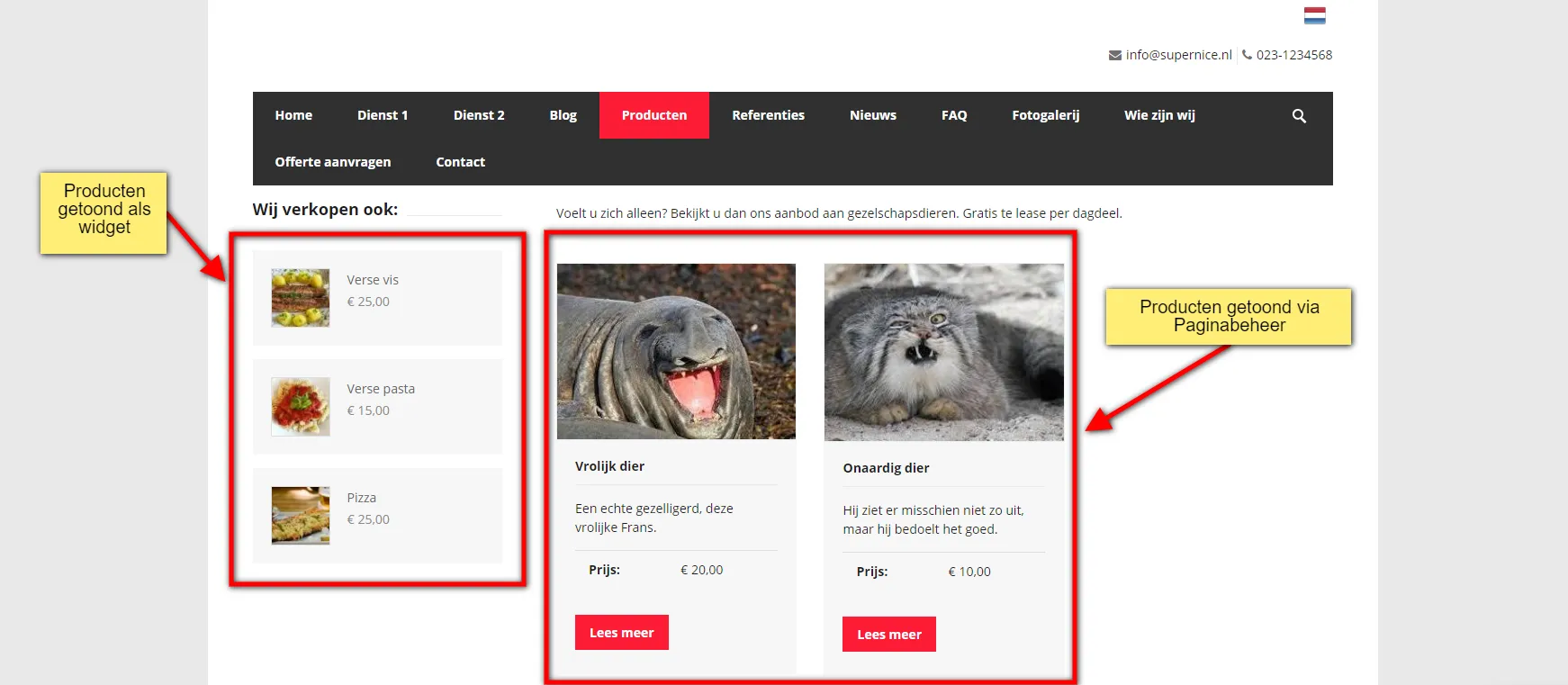 Mogelijkheden zichtbaarheid producten op je website Mogelijkheden zichtbaarheid producten op je website