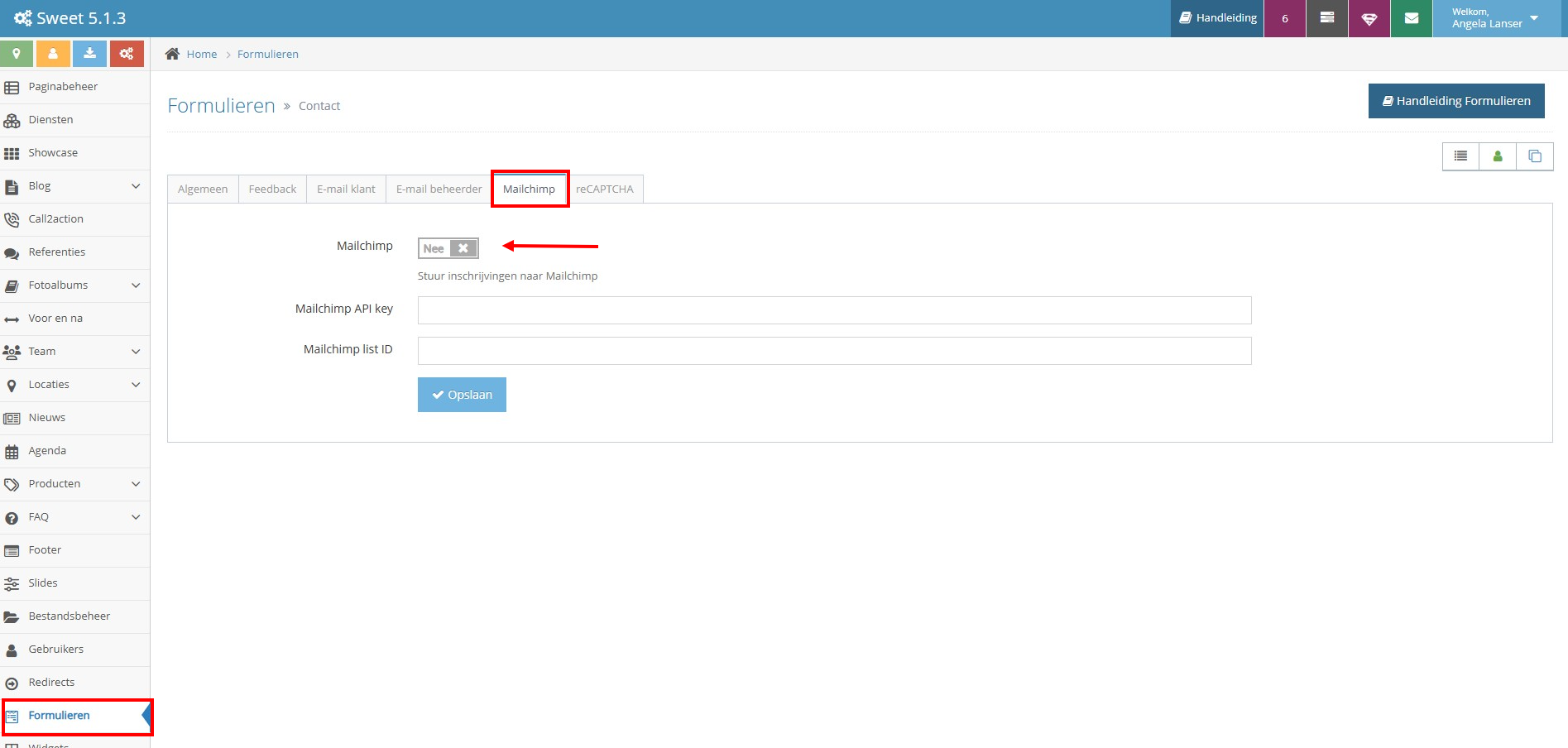 Mailchimp codes invoeren in het CMS van Tijdvooreensite