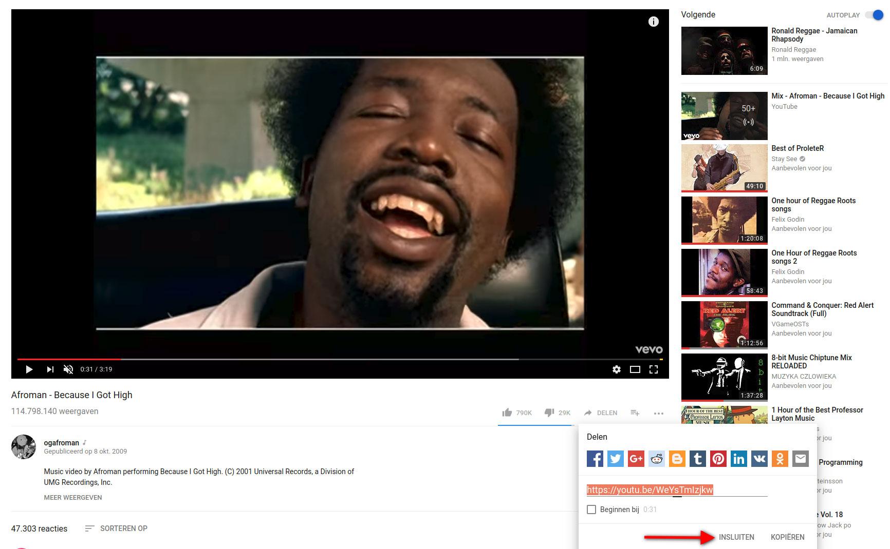 Stap 2 YouTube video's anonimiseren Stap 2 YouTube video's anonimiseren
